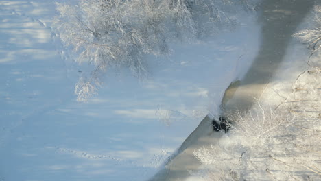 Erstaunliche-Luftaufnahme-Von-Waldbäumen-Und-Gefrorenem-Bach,-Bedeckt-Mit-Schnee,-Winter