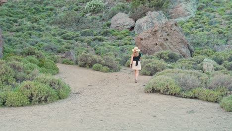 Lonely-woman-walking-in-wild-landscape-of-Tenerife-Teide-area,-back-view