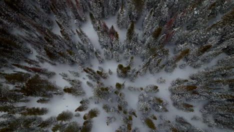 Vogelperspektive-Berthoud-Pass-Winter-Park-Nationalwald-Landschaftlich-Reizvoller-Blick-Luftdrohne-Hinterland-Ski-Snowboard-Berthod-Jones-Colorado-Rocky-Mountains-Gipfel-Große-Höhe-Aufwärtsbewegung