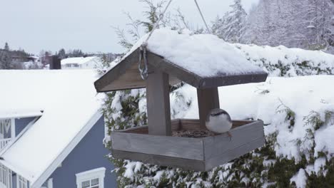 El-Pájaro-Trepador-Se-Alimenta-De-Una-Pajarera-Nevada-Que-Cuelga-Al-Aire-Libre-En-Invierno