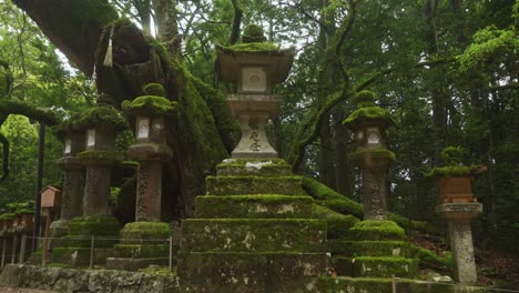 Vista-De-ángulo-Bajo-En-La-Fila-De-Linternas-De-Piedra-Cubiertas-De-Musgo-En-El-Santuario-Kasugataisha-En-El-Parque-Público-De-Nara