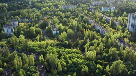 Heilende-Umgebung-Der-Sperrzone,-Zerstört-Durch-Die-Tschernobyl-Katastrophe