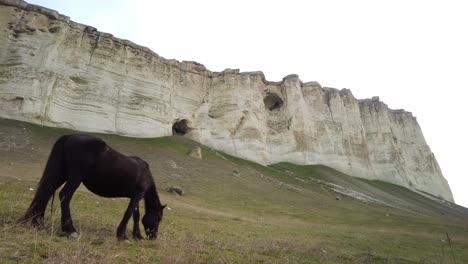 Experience-the-grandeur-of-Crimea-as-you-immerse-in-the-sight-of-horses-grazing-by-the-white-cliff-in-this-video,-embodying-natural-beauty-and-tranquility