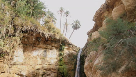 Secluded-waterfall-oasis-in-Tozeur,-Tunisia-with-lush-greenery-and-rocky-terrain,-daylight-shot