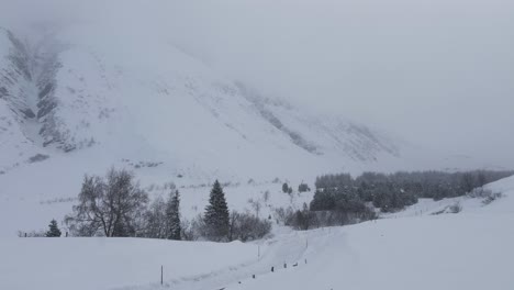 Mañana-De-Invierno-Brumosa-Entre-Pinos-De-Montaña-Cubiertos-De-Nieve