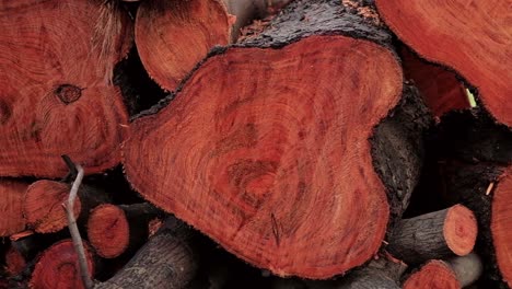 Panning-shot-of-a-stack-of-firewood