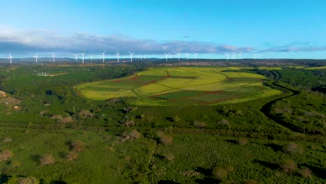 wide-shot-of-the-wind-turbines-of-Kawailoa-Wind-Farm-providing-renewable-energy