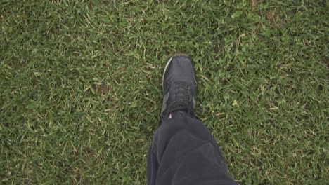 man-walking-on-the-grass-with-his-sneakers