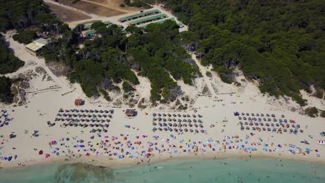 Toma-De-Drones-Inclinada-Desde-Arriba-Del-Complejo-Playero-De-Calla-Agulla,-Mostrando-Su-Playa-De-Arena-Y-Las-Montañas-Y-Bosques-Al-Fondo