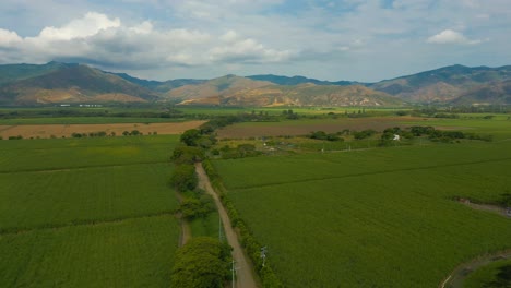 Aerial-Sugar-Cane-Crops-Next-To-Mountains