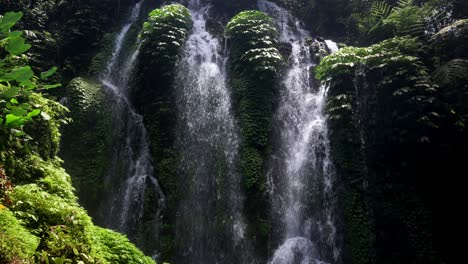 Secluded-Forest-With-A-View-Of-Banyu-Wana-Amertha-Waterfall-In-Bali,-Indonesia