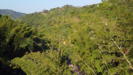 Fliegen-Durch-üppige-Grüne-Bäume-Im-Regenwald-Und-Entdecken-Einen-Bach-Im-Ländlichen-Rionegro,-Antioquia,-Kolumbien