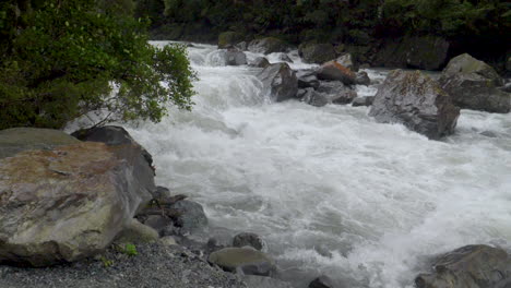 Slow-motion-footage-of-rushing-river-rapids-after-a-storm-with-shoreline---Milford-Sound-,-New-Zealand