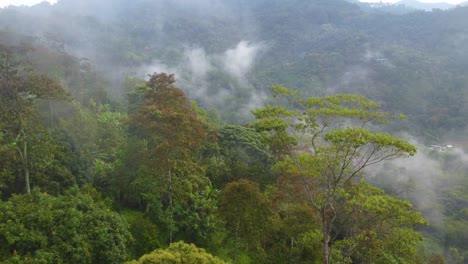 Nubes-Brumosas-Sobre-La-Selva-Tropical-Cerca-De-Rionegro-En-Risaralda,-Colombia