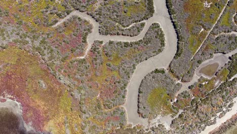 Hochauflösende-Fluss-Drohnenaufnahmen-Vom-Delta-Axios---Natura-2000