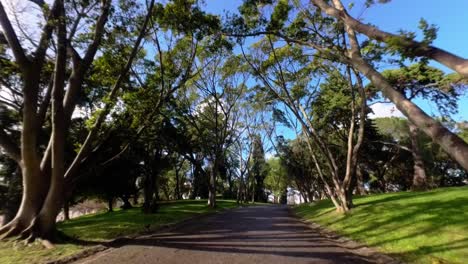 Evening-Stroll-through-Eduardo-VII-Park-in-Lisbon---Caminhada-ao-Entardecer-pelo-Parque-Eduardo-VII-em-Lisboa