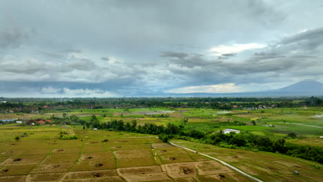 Aerial-backward-view-over-Bali-rice-fields-in-Indonesia-with-sprinklers-irrigating