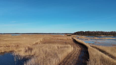 Wooden-Bords-Trail-Through-the-Kaniera-Lake-Reeds-Aerial-Spring-Shot-Lapmezciems,-Latvia