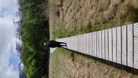 Vertical-of-a-woman-walking-on-a-wooden-boardwalk-with-bushland-and-snowcapped-mountains-in-Glenorchy,-New-Zealand