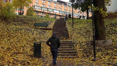 Young-man-walks-up-stairway-in-leafy-park-in-autumn-in-Sweden,-static