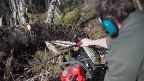 The-Man-Employs-Both-a-Saw-and-a-Chainsaw-to-Fell-Trees-in-Indre-Fosen,-Trondelag-County,-Norway---Close-Up