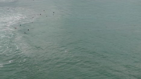 Panning-up-drone-shot-in-Pacifica,-California-of-hundreds-of-surfers