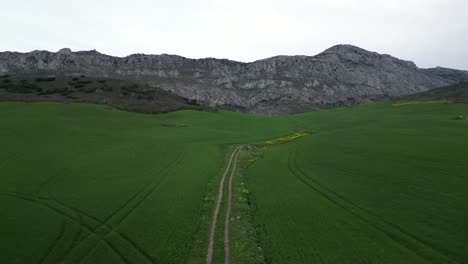 Aerial-drone-footage-captures-lush-valley-with-towering-mountain-backdrop-under-cloudy-skies-in-southern-Spain