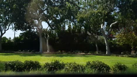 Driving-in-Beverly-Hills-California-USA,-Green-Parks-in-Residential-Neighborhood-on-Sunny-Day,-Right-Seat-Passenger-POV