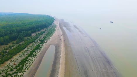 Baumpflanzung-Als-Sturmschutz-An-Der-Indischen-Küste-In-Bangladesch