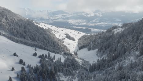 La-Niebla-Invernal-Envuelve-Los-Pinos-En-Lo-Alto-De-Los-Picos-Cubiertos-De-Nieve.