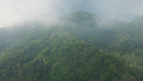 Nebel-Auf-Der-Baumkrone-Aus-Der-Luft