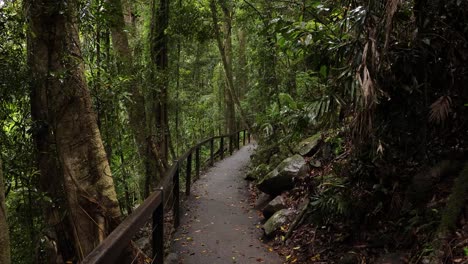 Blick-Auf-Den-Wanderweg-Und-Wald,-Natural-Bridge,-Springbrook-Nationalpark,-Gold-Coast,-Australien