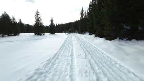 Schneebedeckte-Landschaft-Mit-Dichten-Kiefern-Am-Palù-See,-Valmalenco,-Italien