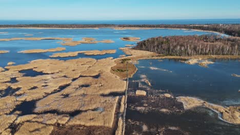 Wooden-Bords-Trail-Through-the-Kaniera-Lake-Reeds-Aerial-Spring-Shot-Lapmezciems,-Latvia