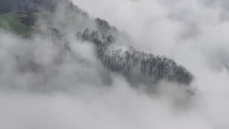 Nebelschleier-über-Einer-Ruhigen-Winterwaldlandschaft,-Schweiz