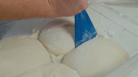 Taking-out-prepared-pizza-dough-sample-from-storage-tray