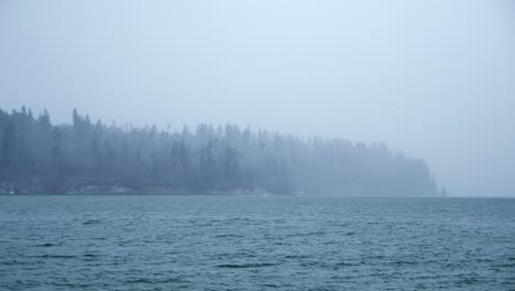 Costa-Boscosa-Del-Noroeste-Del-Pacífico,-Día-De-Invierno-Brumoso,-Cámara-Lenta