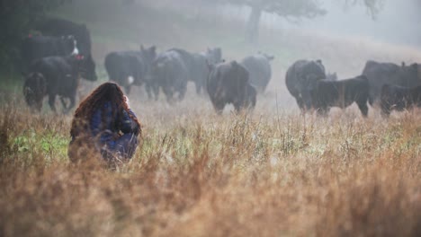 Frau-Fotografiert-Rinderherde-Auf-Kalifornischer-Rinderfarm-Im-Morgennebel