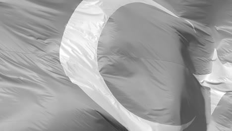 Flying-Turkish-Flag-Close-Up-in-Black-and-White-SLOMO