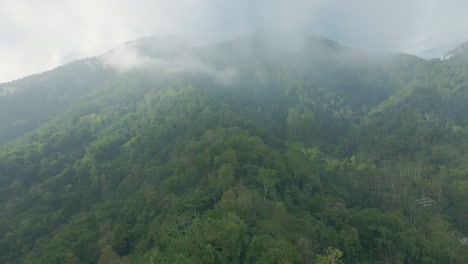 Luftaufnahme-Des-Dunstigen-Bergwaldes