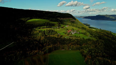 Luftaufnahmen-Eines-Berghangs-In-üppigem-Grün,-Verstreute-Häuser,-österreichische-Alpen