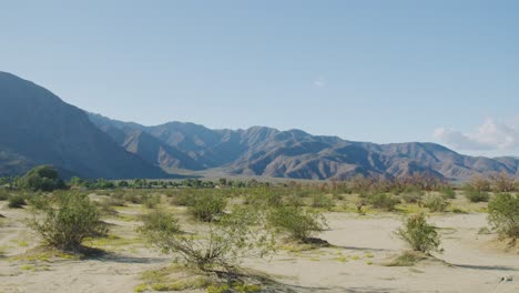 Amplia-Toma-Panorámica-De-Arbustos-Que-Crecen-En-Un-Desierto-Arenoso-Rodeado-De-Montañas,-Nubes-Hinchadas-Y-Cielo-Azul