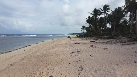 Flying-over-sandy-beach-with-palm-trees