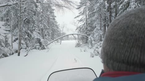 POV-De-Una-Persona-Montando-Una-Moto-De-Nieve-En-Un-Bosque-Invernal