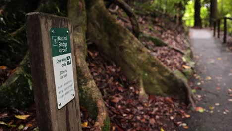 Vista-Estática-Del-Sendero-Para-Caminar,-Señalización-Y-Bosque,-Puente-Natural,-Parque-Nacional-Springbrook-Gold-Coast,-Australia