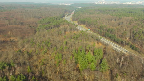 Una-Vista-Aérea-Captura-Una-Carretera-Que-Atraviesa-Un-Bosque-Mixto,-Contrastando-Los-Pinos-De-Hoja-Perenne-Con-Los-árboles-De-Hoja-Caduca-En-Transición-Estacional