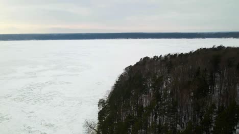 Drone-shot-of-the-trees-on-the-shore-of-the-frozen-lake-in-cold-winter-overcast-day