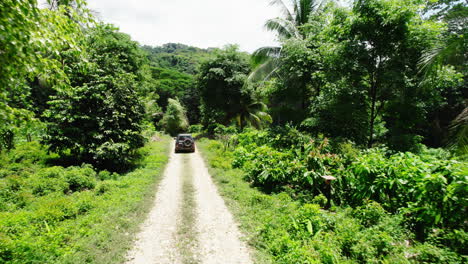 Seguimiento-Hacia-Adelante-De-Un-Vehículo-Todo-Terreno-Que-Se-Mueve-Por-El-Camino-A-Través-Del-Bosque-Tropical