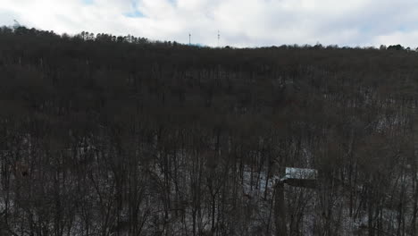 Aerial-drone-shot-of-leafless-forest-in-winter,-ground-covered-with-snow,-pan