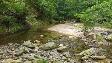 Stones-And-Creek-In-Tropical-Forest-Near-Santa-Marta,-Magdalena,-Colombia